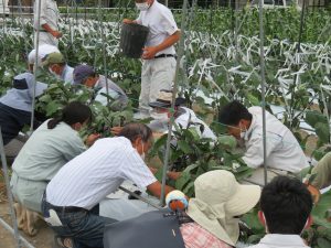 【農業環境科】共学農園　開講式