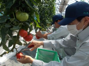 「共学農園」受講者募集！