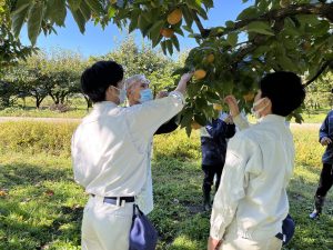 【農業環境科】共学農園（果樹部門）