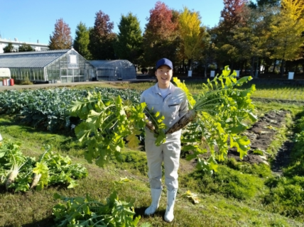 【１年農業環境科】科目「農業と環境」でダイコンを収穫しました！