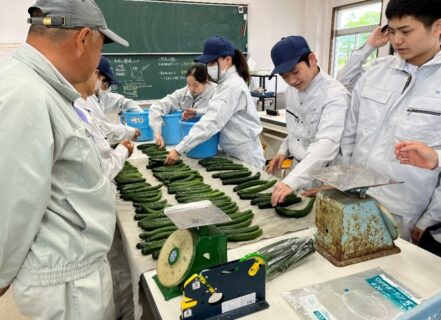 【１年農業環境科】科目「総合実習」でキュウリの収穫を行いました！
