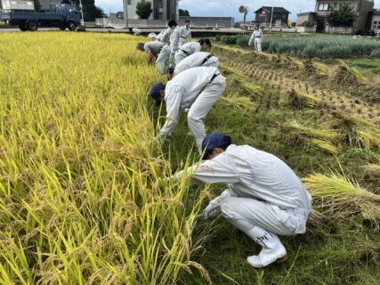 【１年農業環境科】富富富の稲刈り