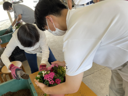 【農業環境科】共学農園(草花)