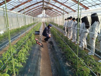 【２年農業環境科】専門技術者等講師招聘事業（野菜）