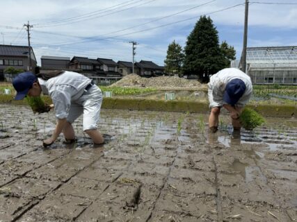 【１年農業環境科】富富富の田植え