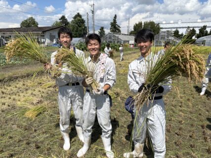 【１年農業環境科】富富富の稲刈り