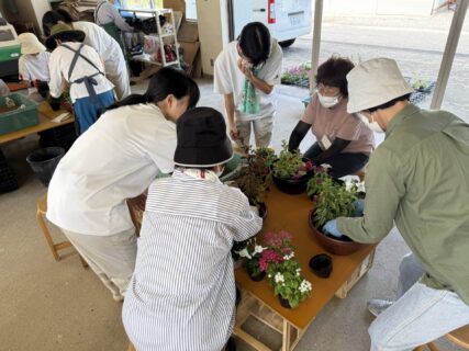 【農業環境科】共学農園(草花)