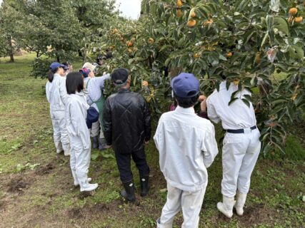 【農業環境科】共学農園（果樹）
