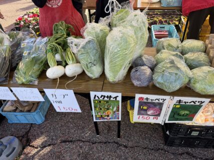 【農業環境科】里いもまつり