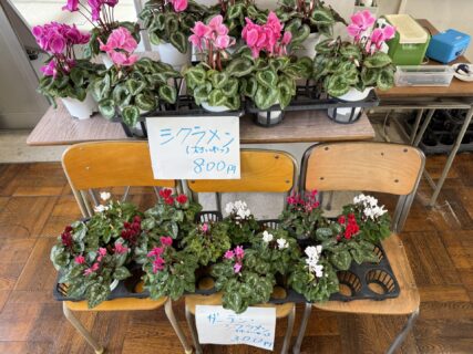 【農業環境科】第２学期保護者会での農産物即売会