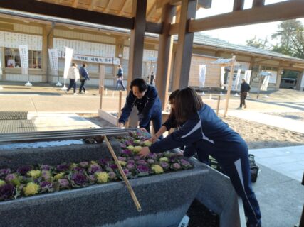 【農業環境科】射水神社でハボタンの花手水を行いました！