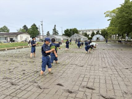 【１年農業環境科】富富富の田植え