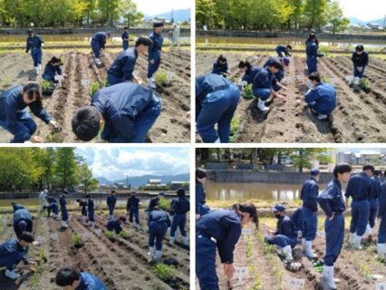 【１年農業環境科】科目「農業と環境」でのトウモロコシの定植