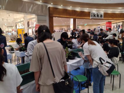 【農業環境科】イオンモールとなみでの「寄せ植えづくり」と「農産物販売」