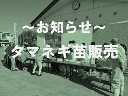 【農業環境科】タマネギ苗販売（お知らせ）