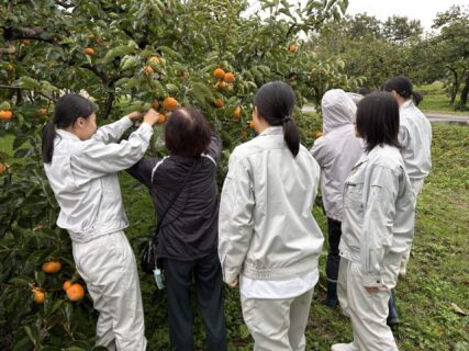 【農業環境科】共学農園（果樹）